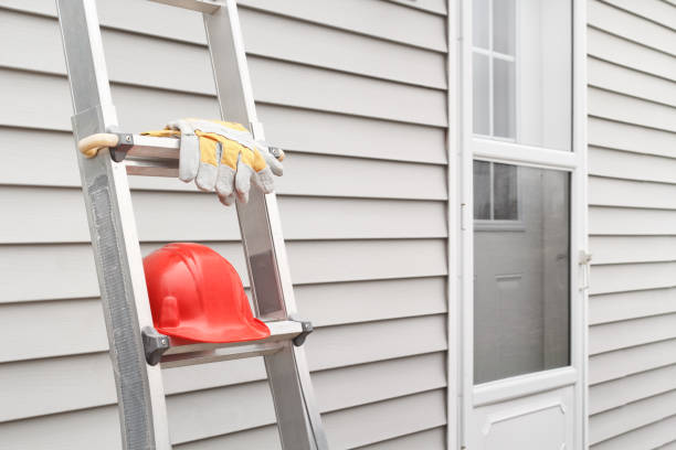 Best Aluminum Siding Installation  in Stony Point, MI