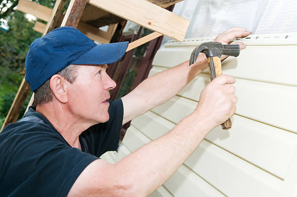 Best Custom Siding Design  in Stony Point, MI