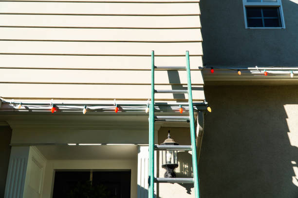 Best Fiber Cement Siding Installation  in Stony Point, MI