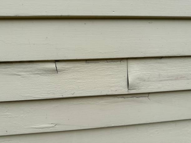Best Custom Trim and Detailing for Siding  in Stony Point, MI
